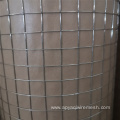 Galvanized welded bird cage galvanized welded mesh